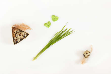 Easter holiday attributes sets. Quail eggs, green woolen crochet hearts, feathers, green shoots sprouted wheat on white background. Easter holiday eco concept.の写真素材
