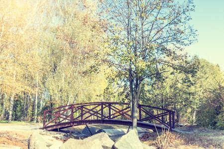 Colorful autumn landscape alley with bridge in the park in the fall sunny day.  Coloring and processing photo.の写真素材