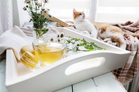 Cup of tea, macaroons, chrysanthemum flowers and books in tray and red cat on the table. Cozy home concept.の写真素材