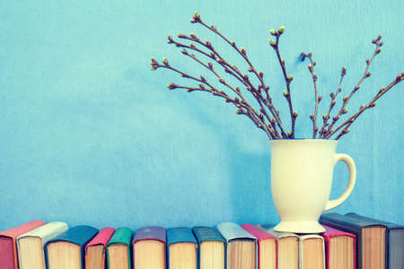 Cherry branch with buds in cup on books over pink background. Spring holidays concept.の写真素材