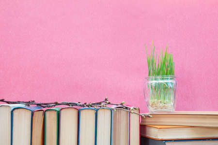 Young seedlings of green wheat sprouts, germinated wheat in glass jar on books over pink background. Agriculture education concept.の写真素材