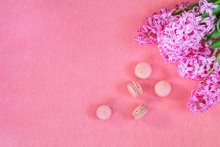 Beautiful spring holiday background. Fresh pink hyacinth and sweet macaroons on pink copy space...