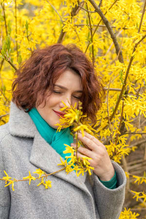 Pretty young red head woman with forsythia blossoms in spring park. Yellow blossoms background.の写真素材