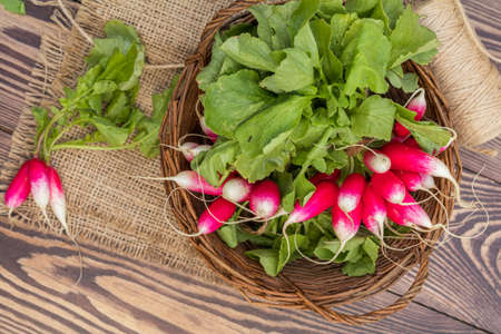 Bunch of fresh radishes in a wicker basket outdoors on the table. Top viewの写真素材