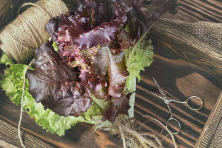 Top view of the bunch of fresh lettuce in a wooden box の写真素材
