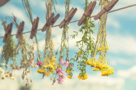 Different types of herbs dried in the shade on a rope against the blue sky. Shallow depth of field. Coloring and processing photo with soft focusの写真素材