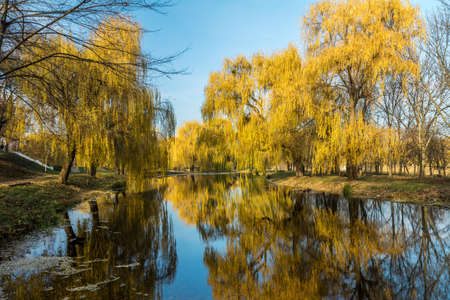 Beautiful pond with trees reflection in the water in the city park on a sunny fall day.の写真素材