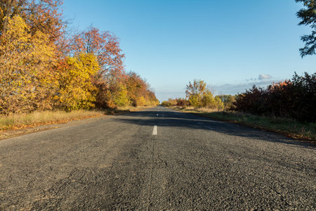 Empty autumn road along golden winter wheat fields at sunset