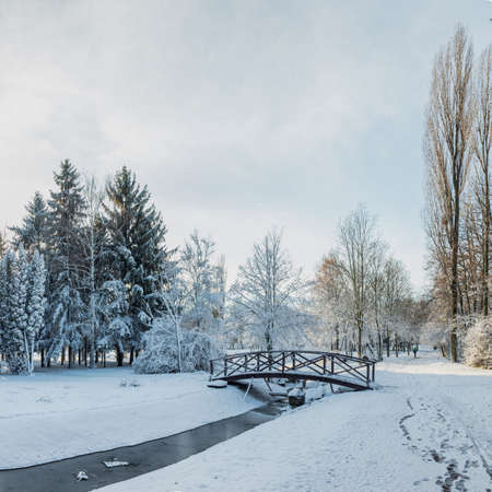 First snow in the city park  with a bridge on a sunny dayの写真素材