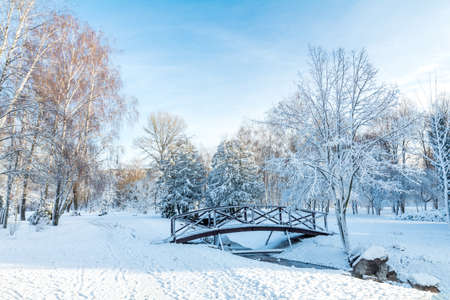 First snow in the city park with trees under fresh snow at sunrise. Bridge on a sunny day in the winter city park.の写真素材