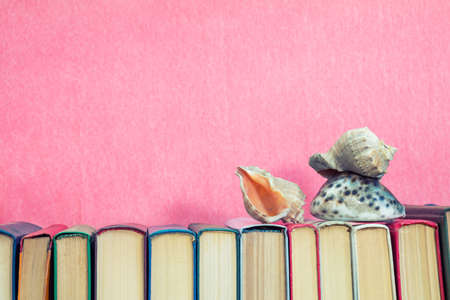 Sea shells on multicolored books at pink background. Education concept. Copy spaceの写真素材