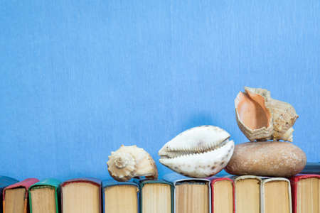 Sea shells and stones on multicolored books at light blue background. Education concept. Copy spaceの写真素材