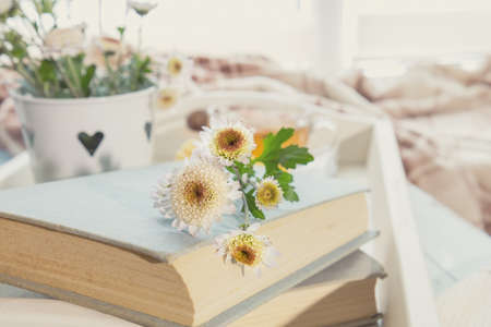 Chrysanthemum flowers lay on the book which is laying on the table. Cozy home conceptの写真素材