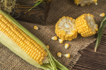 Fresh corn on cobs on rustic wooden table, top view. Dark wooden background freshly harvested organic corn.の写真素材