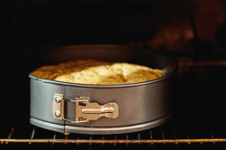 Charlotte, biscuit, pastry, cake in form in the oven. Fresh pastries in processes. Shallow depth of field.の写真素材