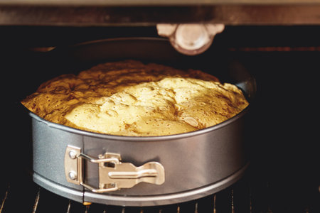 Charlotte, biscuit, pastry, cake in form in the oven. Fresh pastries in processes. Shallow depth of...