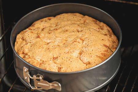 Charlotte, biscuit, pastry, cake in form in the oven. Fresh pastries in processes. Shallow depth of field.の写真素材