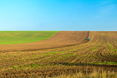 Winter wheat field with a tractor working on it in the fall under the clear blue sky. Sunny autumn...