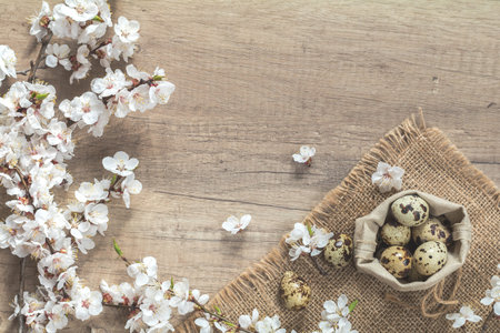 Apricot tree blossom branch and quail eggs in a bag on the wooden background with copy space