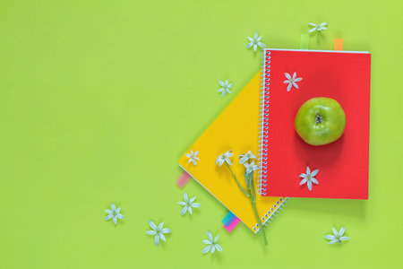 Many blossom flower heads ornithogalum and red and yellow notebooks with bouquet, green juicy apples...