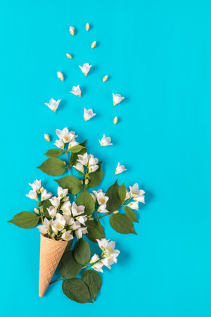 Waffle cone with jasmine flower bouquet on blue background. Flat lay, top view floral background.