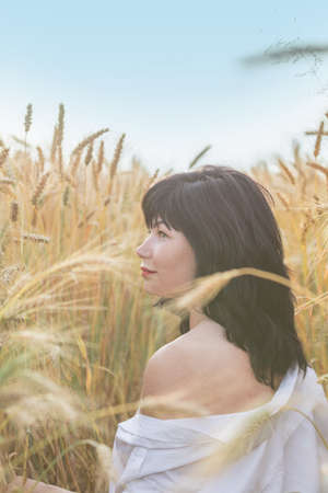 Cute happy beautiful female against a background of wheat field at the time of the sunset. Shallow depth of the field, toned and processing photo.の写真素材