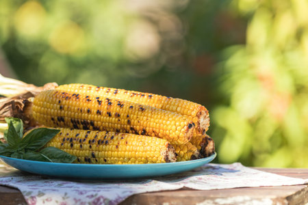 Corn baked in olive oil, with pepper, salt and basil on blue dish. Tasty grilled corn cobs on old...