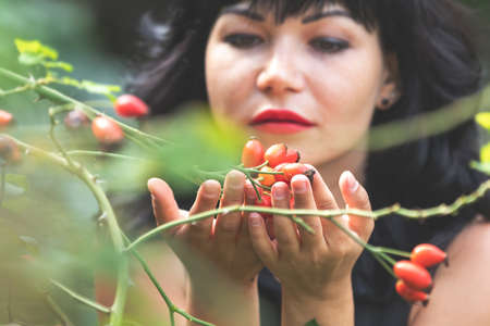 Red rose hips in women's hands. Sexy beautiful pretty brunette with red lipstick. Selective focus, shallow depth of the field. Face out of focus.の写真素材