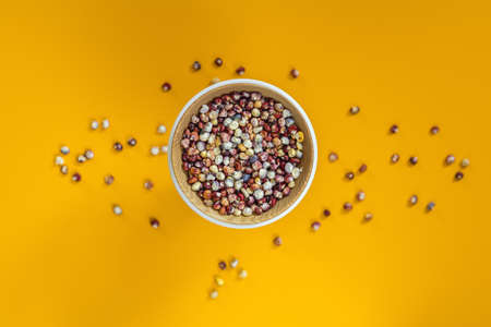 Cheerful and Colorful dried Indian Corn on yellow surface as decoration for Thanksgiving Table, Halloween, and the Fall Season.の写真素材