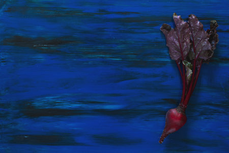 Pile of homegrown organic young beets with green leaves on dark blue wooden table. Fresh harvested...
