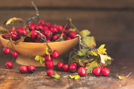 Autumn harvest Hawthorn berry with leaves in bowl on a wooden table background. Copy space. Dark rustic style. Natural remedyの写真素材