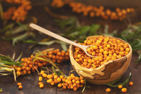 Natural, organic sea buckthorn berry in bowl on dark wooden background. Dark rustic style, natural remedy.の写真素材