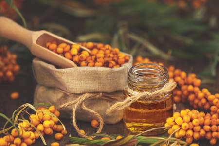 Natural, organic sea-buckthorn berry in linen bag and sea buckthorn oil in glass vintage bottle on dark wooden background. Dark rustic style, natural remedy.の写真素材