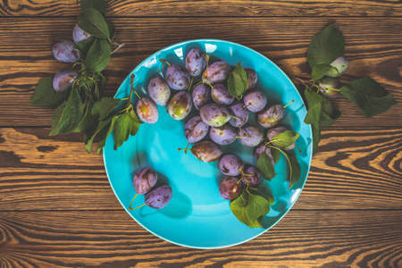 Many juicy beautiful amazing nice plums in blue plate on dark wooden background. Beautiful food art background. Top view, copy space.の写真素材