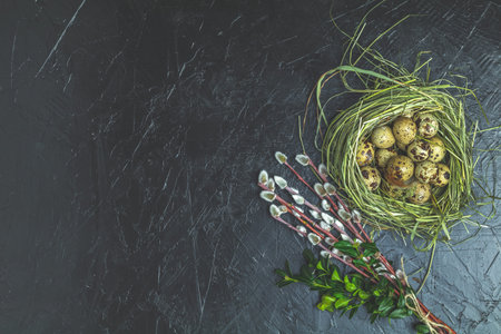 Easter decoration with willow branches, green branches and quail eggs in nest over black concrete...