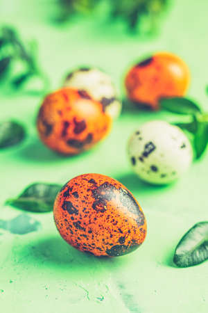 Easter concept with colored yellow orange quail eggs and green branches over green concrete surface background. Copy space.の写真素材