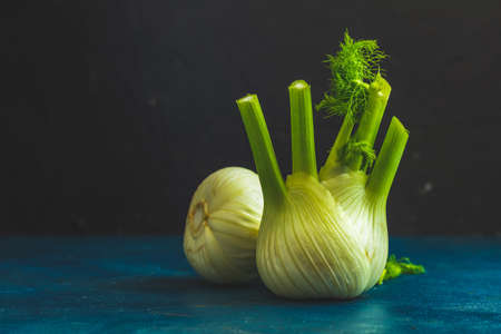 Fresh Florence fennel bulbs or Fennel bulb on dark blue concrete background. Healthy and benefits of Florence fennel bulbs.の写真素材