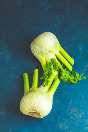 Fresh Florence fennel bulbs or Fennel bulb on dark blue concrete background. Healthy and benefits of Florence fennel bulbs.の写真素材