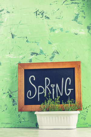 Calligraphic inscription hand lettering letters spring on black chalkboard standing on gray concrete table surface and green background with thyme in white basket. Spring coming concept background.の写真素材