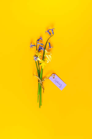 Bouquet spring blossom flowers yellow and blue hyacinth, daffodil and different handwritten notes letters lettering spring over yellow background. Flat lay, space for you textの写真素材