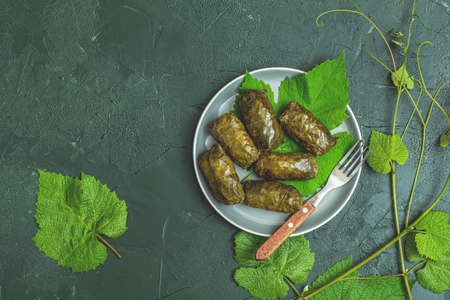 Traditional Middle Eastern dolma or tolma. Latin American Mexican Chilean cuisine ninos envueltos. Grape leaves stuffed with meat and riceの写真素材