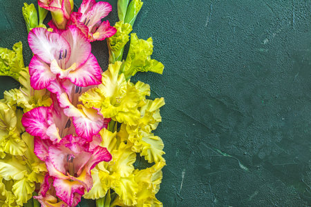 Border frame made of yellow and pink gladiolus on green concrete background. Pattern of gladiolus with space for your text, holiday greeting card. Valentine's. Flat lay, top view. Frame of flowersの写真素材