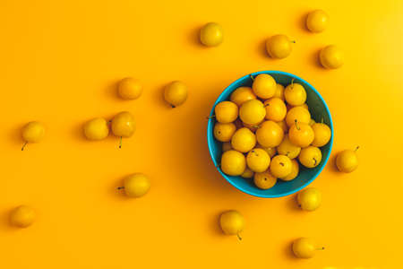 Creative summer pattern made of fresh yellow cherry plums in blue bowl on pastel yellow background. Fruit minimal concept. Flat lay.の写真素材