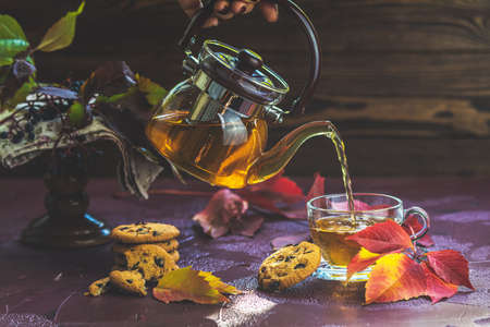 Woman poured hot tea in red in cup. Autumn teatime composition on dark background with colored leaves and chocolate cookies, sun light beam on the cup.の写真素材