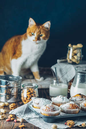 Vanilla caramel muffins in paper cups and glass in bakeware of milk on  dark wooden background. Delicious cupcake with raisins, almonds and nuts. Cute red white cat in the backgroundの写真素材
