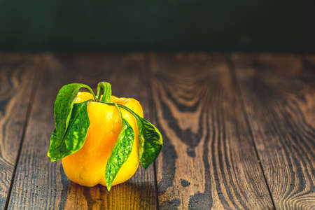 Single ripe organic fresh sweet yellow pepper on dark wooden table. Selection of healthy food for heart, life concept, copy spaceの写真素材