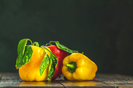 Ripe organic fresh sweet red and yellow pepper on dark wooden table. Selection of healthy food for...