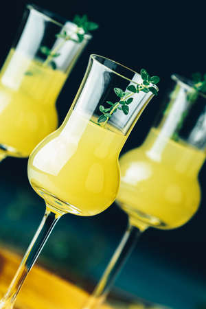 Limoncello with thyme in three grappas wineglass close up on dark background, shallow depth of the field.の写真素材