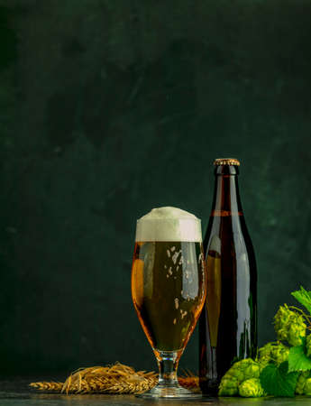 Beer and hop plant. Still life with beer and hop plant in retro style. Glass of cold foamy beer brown bottle of beer and hop on a dark background.の写真素材