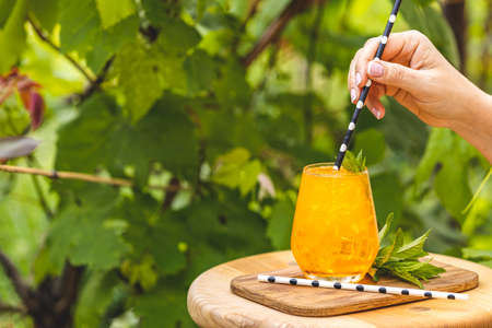Woman hand holding drinking straw over orange drink with ice on summer sunny garden background. Fresh cocktail drinks with ice fruit and herb decoration. の写真素材